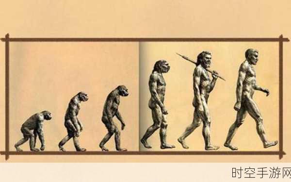 Human Evolution，点击间见证人类进化史的模拟盛宴