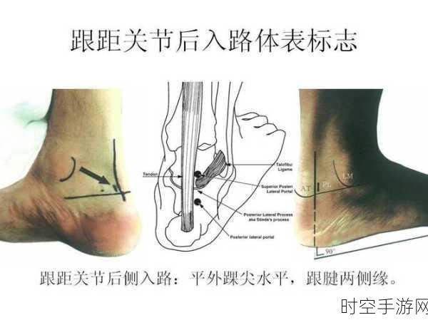 掌握这些技巧，轻松检查快恢复桥