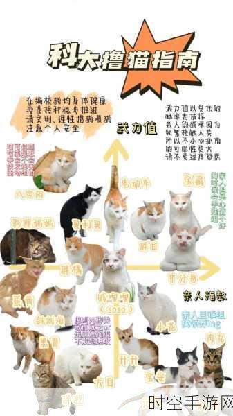 日系萌宠新体验，猫咪共舞中文版下载及趣味玩法详解