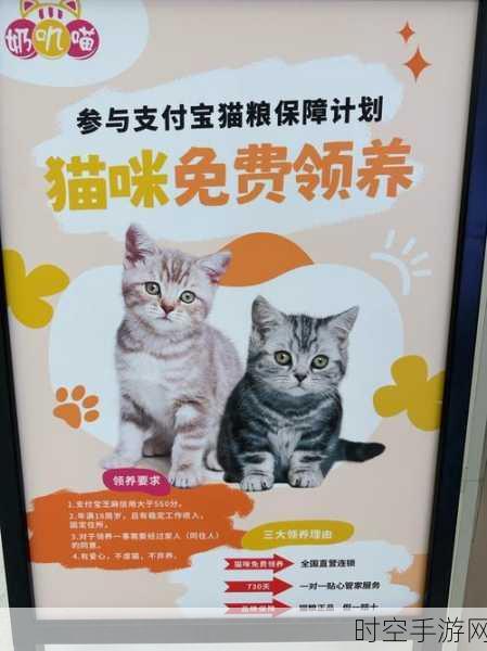 小猫之家萌宠上线，云养猫大赛等你来战！