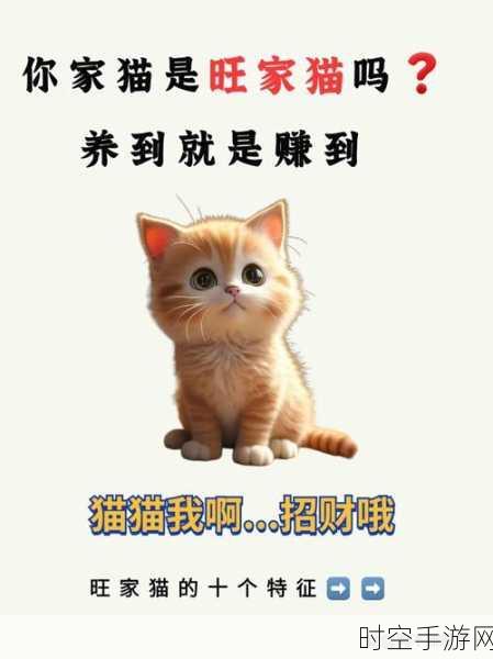 小猫之家萌宠上线，云养猫大赛等你来战！