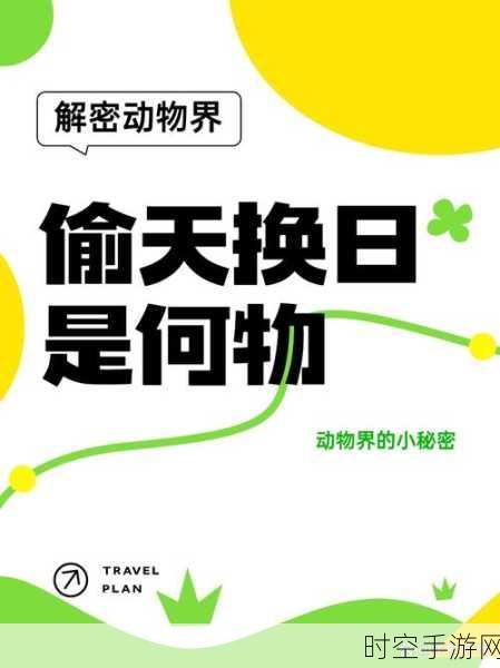 简约不简单！玻璃隧道敏捷躲避挑战，休闲新宠来袭