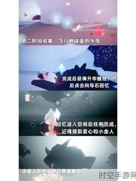 光遇破晓季，雨林季节蜡烛神秘位置大揭秘