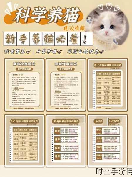 萌宠养成新体验，猫咪栽培2正版下载全攻略