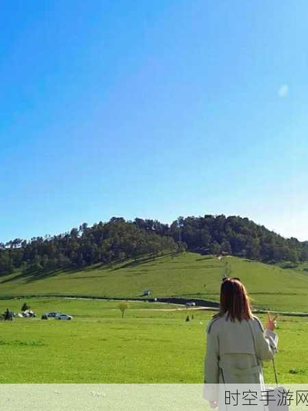 清新牧场风情，尽在奇妙牧场——打造你的梦幻经营之旅