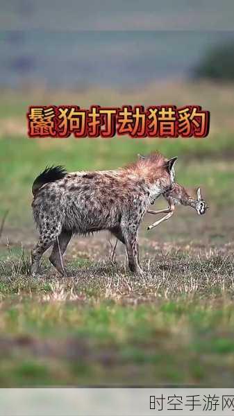 猎豹The Cheetah中文版震撼上线，体验野生动物生存竞技的极致魅力