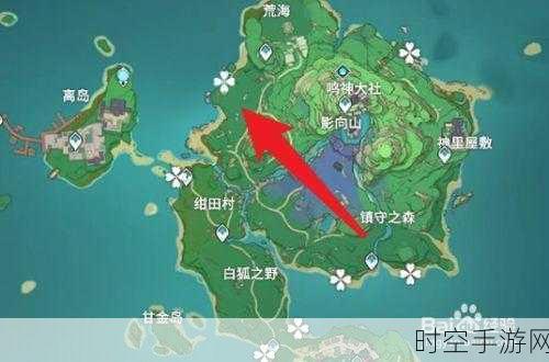 原神稻妻血斛采集秘籍，高产地点与最佳路线大揭秘