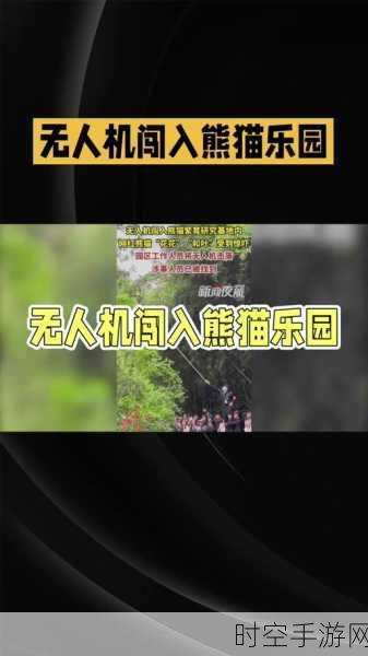 熊猫基地惊现无人机侵扰，花花和叶受惊，违规游客遭终身禁入