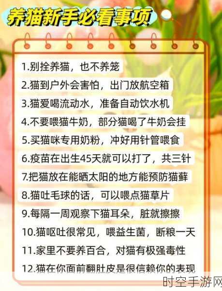 白猫计划新手必读，全面攻略与常见问题大揭秘