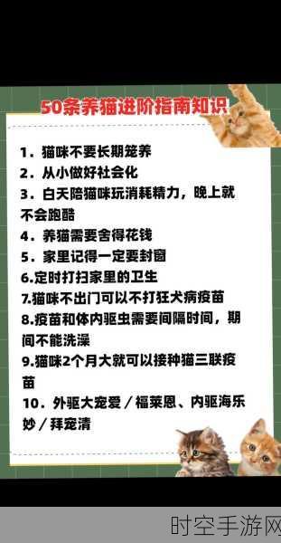 小森生活新手必知，极速赚钱与养猫秘籍全攻略