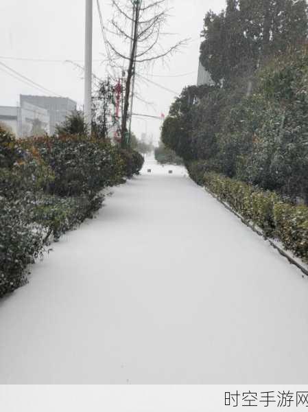 苹果天气小组件雪中迷路，下雪天气显示异常引热议