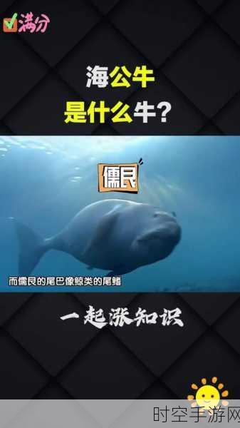 奇特生物引热议，海牛现身网络，萌态可掬引网友围观