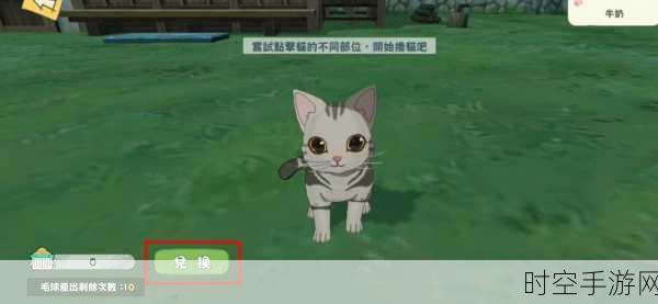 小森生活猫咪装备全攻略，服装获取秘籍大揭秘