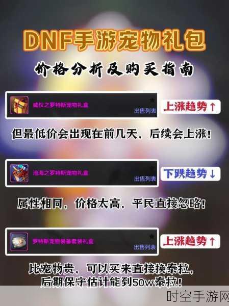 DNF 梦想宠物装备礼盒，红蓝绿颜色抉择终极指南