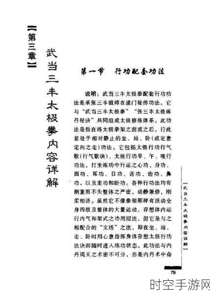 大掌门张三丰群攻秘籍深度解析，太极武学效果震撼全场的秘密