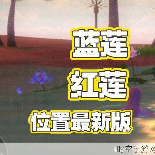 探秘创造与魔法，红莲神秘位置全解析及寻宝攻略