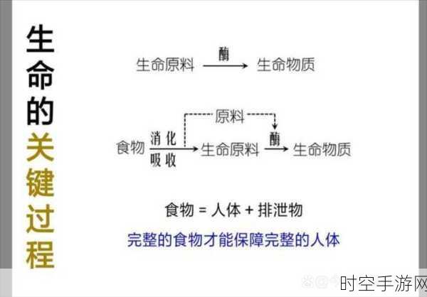 探究暂态过程产生的关键条件与深层原因