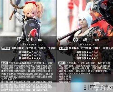 FF14暗黑骑士隐秘语言大揭秘，深度剖析专业术语与战斗技巧