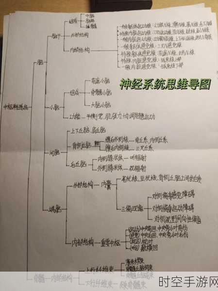 探秘高效神经肌肉电刺激系统的精妙设计