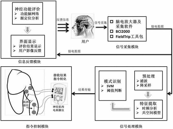 探秘高效神经肌肉电刺激系统的精妙设计