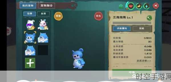 探寻创造与魔法棕熊大的神秘踪迹，全位置大揭秘