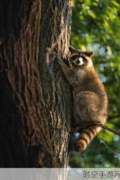 浣熊大作战Raccoon Rising，萌趣休闲新游上线，挑战你的反应极限！