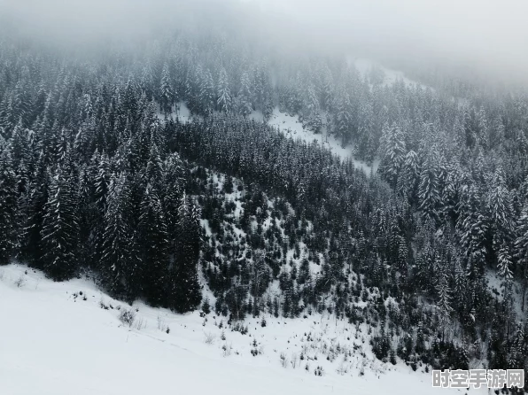 原神深度攻略，揭秘雪山山中之物任务全攻略