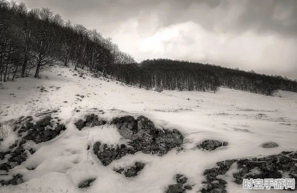 原神雪山秘境开启秘籍大揭秘