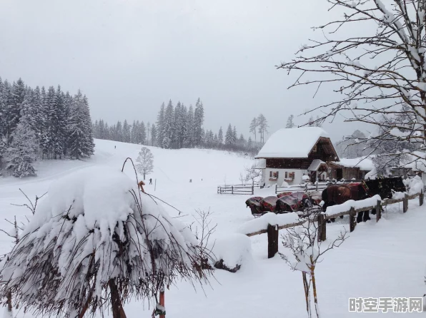 江南百景图深度攻略，解锁寒雪冰窖的绝密技巧