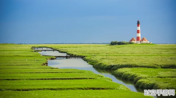 探秘江南百景图，桃花村小树林铲子的神秘所在