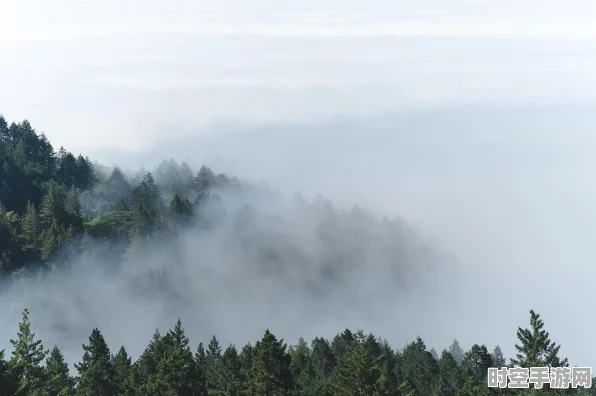 江南百景图，探寻竹林南边的神秘之地与正确线路