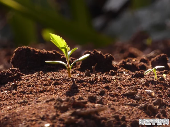 解锁青蛙困境！植物大战僵尸2青蛙状态全攻略大揭秘