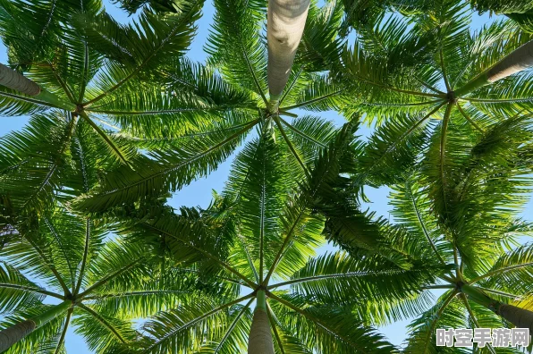 江南百景图竹林花园深度攻略，解锁交换与兑换物品清单的秘籍