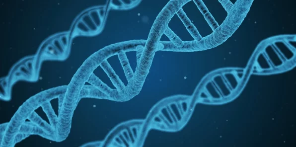探秘一叶障目基因合成秘籍 攻略全解析