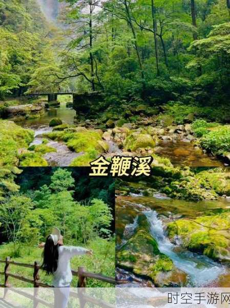 射雕风入松收集秘籍,轻松拿下全部物品的独家攻略