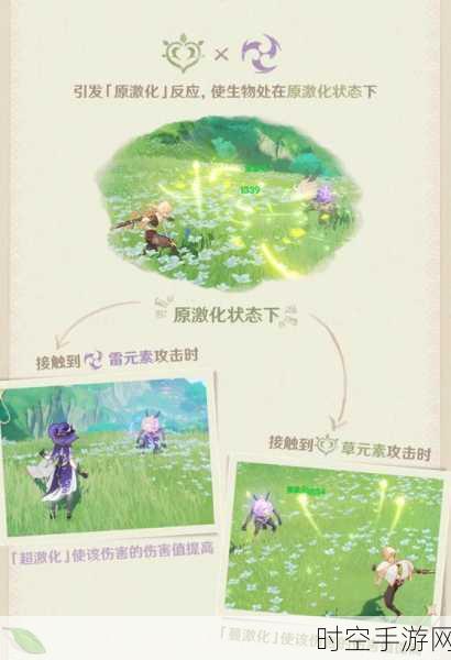 原神,草系元素反应的深度探秘与实战指南