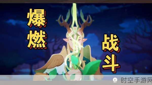 探秘剑与远征,最佳初始号的神秘面纱