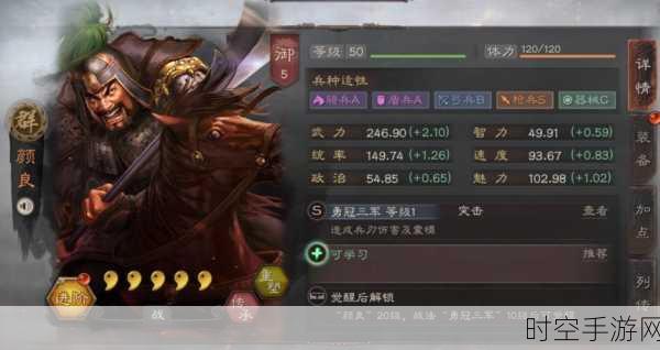 三国志战略版深度解析,颜良去留之争,策略大师如何抉择?