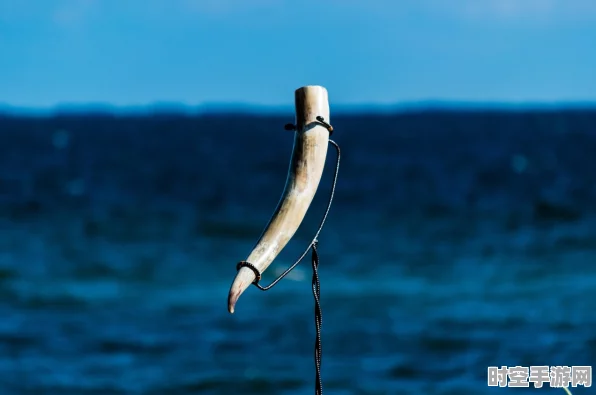 海之号角手机版盛大登场，卡通冒险盛宴，探索未知海域的奇幻之旅