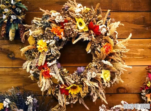 动物餐厅新年庆典，大坏鼠解锁秘籍与独特功能全揭秘
