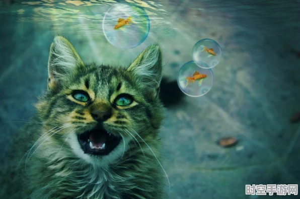 梦幻西游无双版，猫灵图鉴及技能深度剖析
