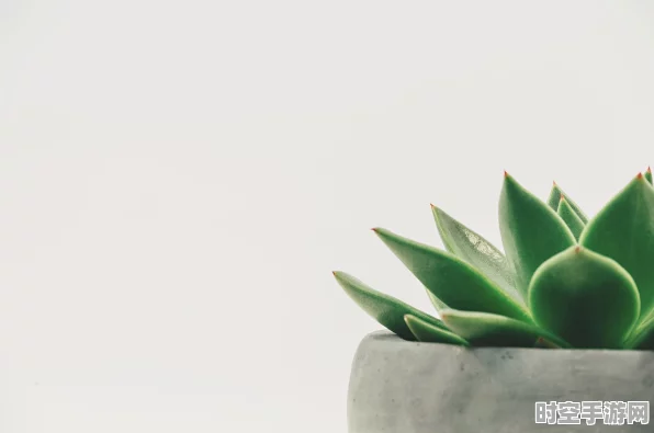植物大战僵尸刷钱秘籍大揭秘